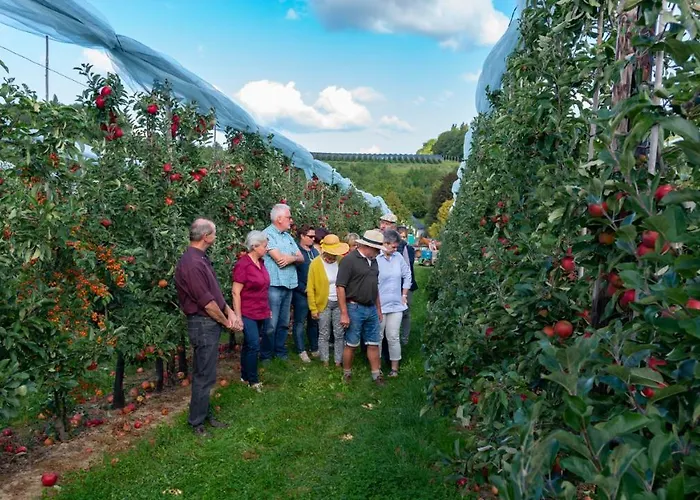 Vakantie Oord Zonnehoeve *