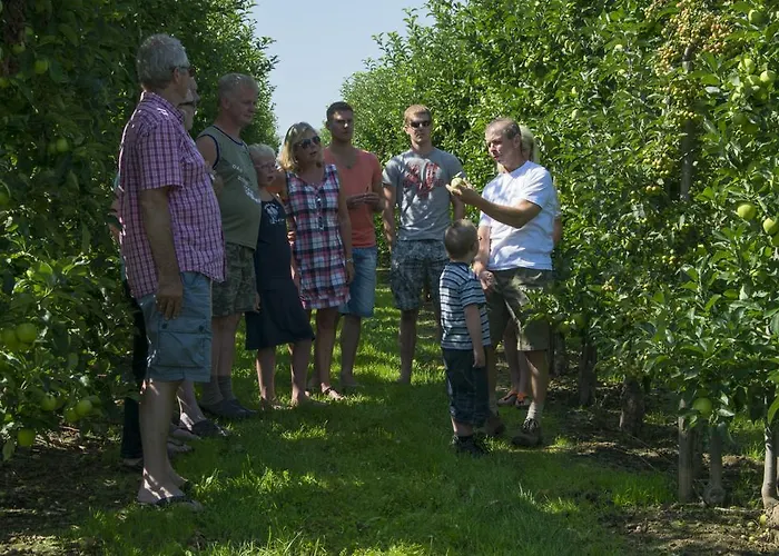 Oord Zonnehoeve مزرعة للإقامة Valkenburg aan de Geul